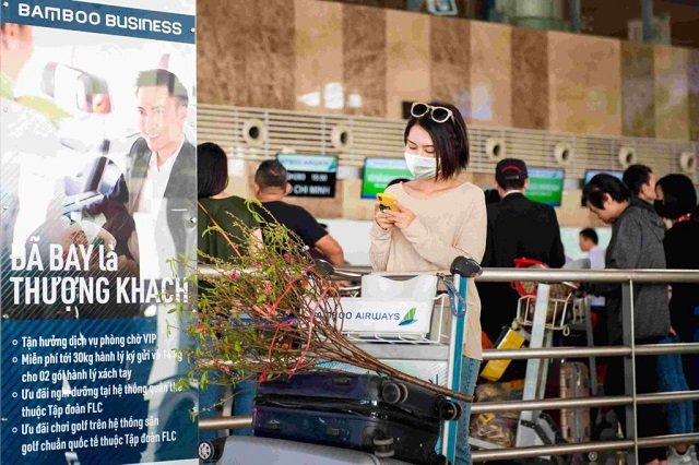 Chính sách vận chuyển mai đào cùng những lưu ý quan trọng về hành lý ngày Tết của Bamboo Airways